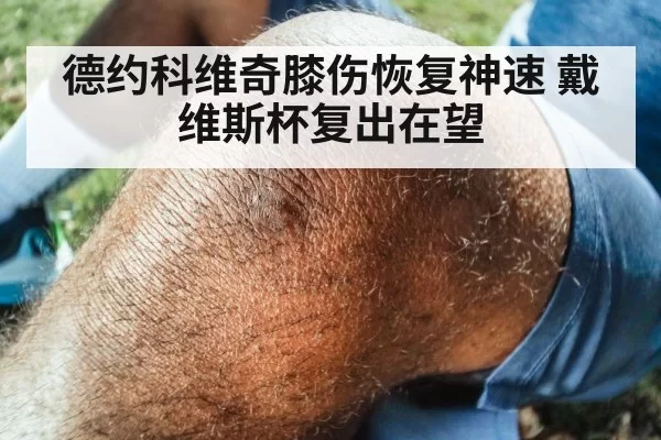 德约科维奇膝伤恢复神速 戴维斯杯复出在望